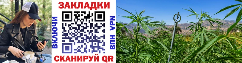 Как найти закладки Жиздра А ПВП  Кокаин  ГАШИШ  Галлюциногенные грибы  Бошки Шишки  Меф мяу мяу 
