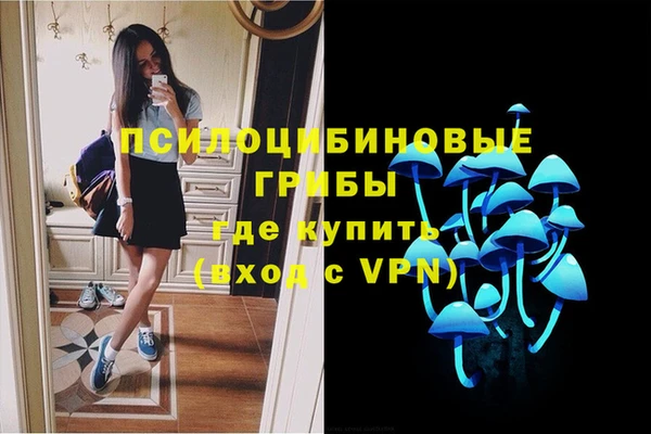 экстази Арсеньев