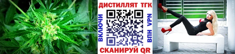 ТГК Wax  Жиздра 